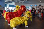 Arti marziali cinesi: Weisong School all'Inaugurazione 2
