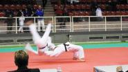 Judo: 10° EJU KATA TOURNAMENT PORDENONE 2017 22