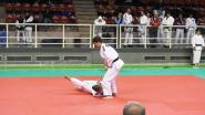 Judo: 10° EJU KATA TOURNAMENT PORDENONE 2017 5