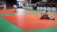 Judo: 10° EJU KATA TOURNAMENT PORDENONE 2017 9