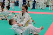 Libertiadi 2017 Judo 3