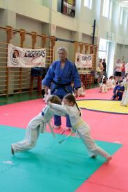 Libertiadi 2017 Judo 4